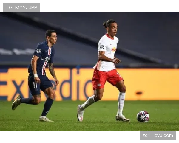 德甲新赛季看点：青春风暴与老将智慧共谱新篇章